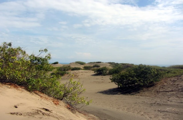 Sand Dunes de Bani Peravia Dominican Republic